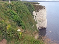 07 07 16_8556_edited-1